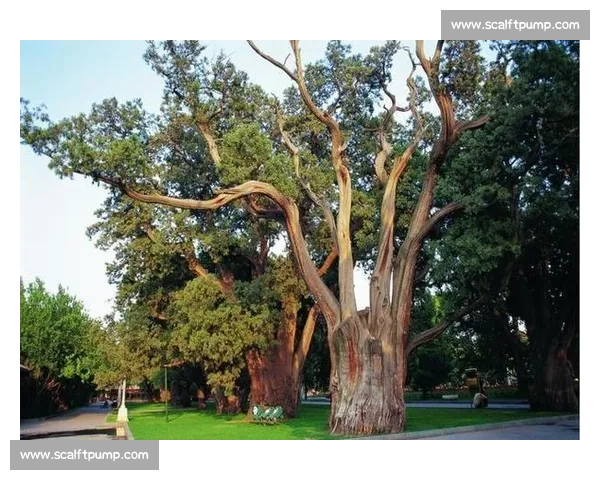 密云周边自然景观与人文历史深度游攻略，探索北京的隐秘宝地
