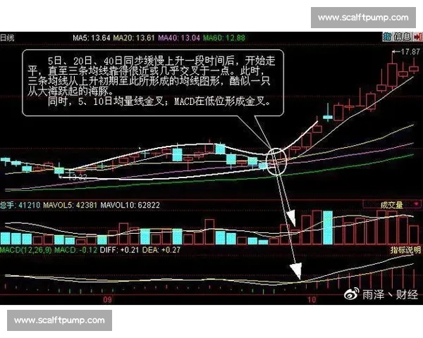黑马潜力股！2026世界杯分组藏着哪些黑马的种子