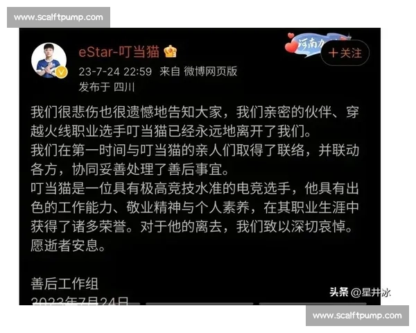 亚洲电竞官方公告，究竟隐藏着怎样的深意