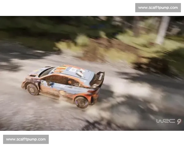 WRC集锦:每一次过弯,都是对生命的考验 WRC集锦:每一次过弯,都是对生命的考验